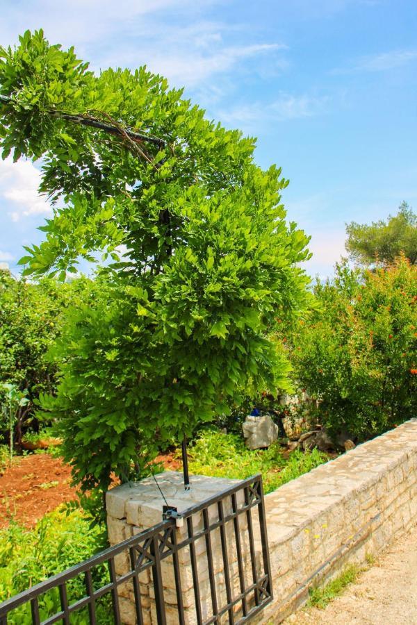 Faros Oasis Apartment Gdinj Exterior photo